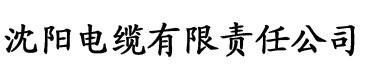 香蕉视频lite在线电缆厂logo